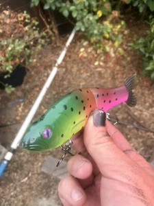 Custom Painted Glide bait slide 185 New MoldPremium Blank  Burnt Neon Trapper Hk - Picture 1 of 4