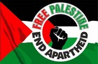 Vinyl Stickers Free Palestine Flag laptop window wall car Gaza apartheid peace