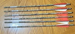 6 ALLEN 20" Camo Carbon Crossbow Bolts Arrows Archery 90320 PDQ - Picture 1 of 4