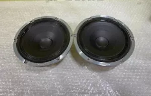 Carrozzera TS-M1RS High-end speaker mid-bass - Picture 1 of 10