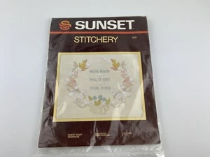 Sunset Stitchery Kit süß Baby Andenken Baby Muster Nadelspitze Stickerei - Bild 1 von 6