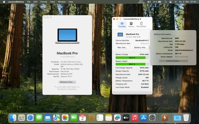 Logicboard Macbook Pro 13 Zoll MID 2010 2,4 GHz, 4GB RAM, Microfon - Bild 1 von 3