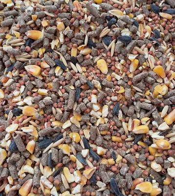 Chicken Scratch Feed Duck Turkey Game Bird Quail Wheat Milo Corn Sunflower - Image 1 of 4