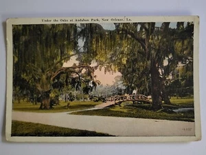 Postkarte Unter den Eichen im Audubon Park New Orleans Louisiana um 1922 - Bild 1 von 2