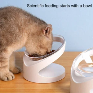 Pet Dog Cat Double Bowls Non-slip Raised Stand Feeding Food Water Tilted Feeder - Picture 1 of 6