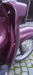 Schwalbe mit Papieren - Bild 1 von 11
