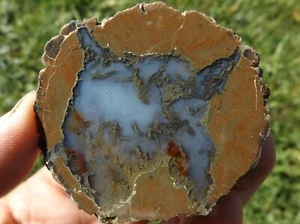 DIG-N-UTAH: POLIERTER OREGON DONNEREIKNOTEN ACHAT # L 530 - Bild 1 von 3