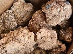 3 Kilo Lots WHOLE QUARTZ GEODES - *Crack Your Own Geodes* - Picture 1 of 6