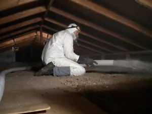 Blown Insulation Service Business Plan - Picture 1 of 3