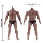 Worldbox 1/6 Scale AT030 Male Durable Muscular 12inch Action Figure Body Doll