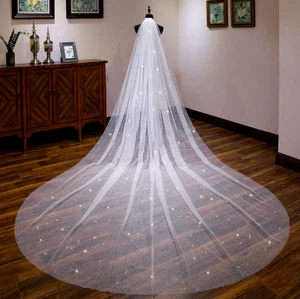 A-Layer Female White Dragging Long Wedding Bridal Veil Photograph Glitter Veil - Picture 1 of 5