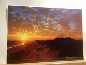 Sea Oats and Sunset: Outer Banks, NC -Vintage Postcard - Picture 1 of 3