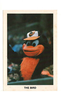 The Bird Baltimore Orioles Mascot -FREE SHIPPING