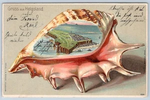 1910's GRUSS aus HELGOLAND SEASHELL POSTAL ANTIGUA - Imagen 1 de 2