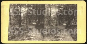 TORRENT WALK #40, Dolgellau, Wales (Stereoview Stereoscope) 1860s/1870s - Bild 1 von 2