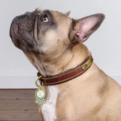 Mejor collar de perro o gato de exhibición encanto foto utilería primitivas de Kathy Foto 1 de 3