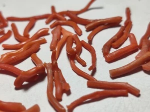 Finest Quality Natural Coral Raw Crystals 38.5 Carats Red Color - Picture 1 of 5