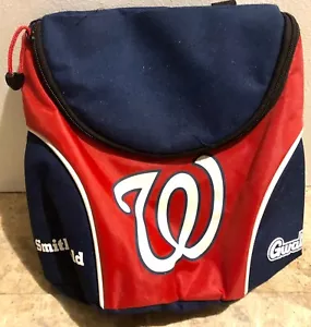 Washington Nationals World Series Champions LUNCH BAG TEAM LOGO TOTE Champs Nats - Picture 1 of 6