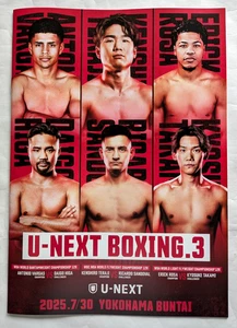 Boxing Program Kenshiro Teraji vs Sandoval Vargas Higa Rosa Takami WBC WBA Title - Picture 1 of 24