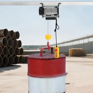 880Lbs Electric Winch Hoist w/Emergency Stop, 100ft Cable for Garage/Lifting US - Picture 1 of 19