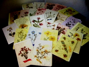 Vintage Homemade Stationery Notes Pressed Calif Wildflowers w Envelopes x30 NOS - Picture 1 of 16
