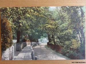 c1914 - Chine Road - Shanklin - Isle of Wight - Picture 1 of 1