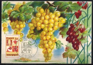 1975-Fdc Carte 1°Jour-France-Bourgogne -Grappe de Raisin-21.Dijon-Timbre.Yv.1848 - Foto 1 di 1