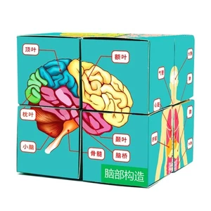 Anatomy Study Cube Learning Tool Anatomy Chart Sets Human Body Organs Study Cube - Picture 1 of 8