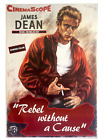 rebel without a cause Poster or Canvas Picture Art Movie Car Game Film A0-A4