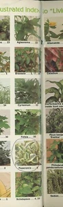 Living With Decorative Plants Booklet 33 Pages 8 1/2" Color Photos Index B6-A5 - Imagen 1 de 8
