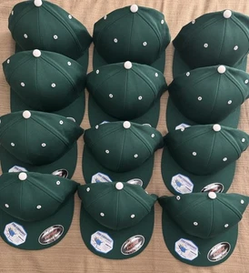 Gorra de béisbol Flexfit Pro-formance Flat Bill verde oscuro talla L/XL JUEGO DE 12 - Imagen 1 de 7
