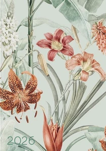 Lady-Timer Paradise 2026 - Bild 1 von 3