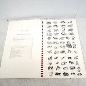 Vintage Bilderlexikon 24000 Abbildungen 1950 selten - Bild 1 von 15