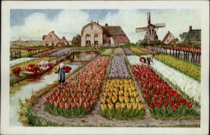 Disfraz de vida tradicional holandés Holanda en temporada de tulipanes molino de viento postal - Imagen 1 de 2
