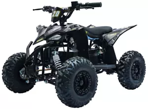 QUAD BIKE ELECTRIC 1500W 48V EMAX 2.0 SHAFT-DRIVE – BLACK - Picture 1 of 12