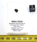 Meteorito Nwa 8534 Condrita Carbon Paño CM 1/2 En Una Caja (0.13 Grs - 003 ** )
