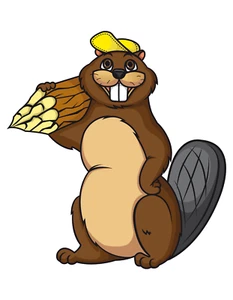 Riesiger XXXL 30X30 cm Autoaufkleber Sticker Biber Aufkleber - Bild 1 von 12