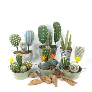 Artificial Cactus Succulent Plant Fake Plastic Flower Bonsai Home Garden Decor 