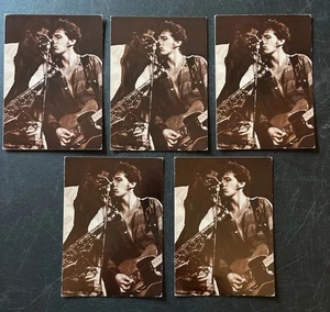 Bruce Springsteen Clarence Clemons Concert Postcards Set of 5 Vintage 4x6 - Picture 1 of 12