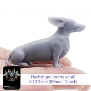 Dachshund In The Wind- 1:12 Scale miniature dog by Stereocat (1 dog) - Bild 1 von 9