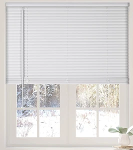 Cordless White 1'' Light-Filtering Mini Blinds, 22.5''x36'' Vinyl Window Blinds - Picture 1 of 7