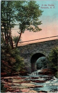 Cartolina NY anni 1910 nella gola Norwich ponte non affrancata fiume torrente - Foto 1 di 2