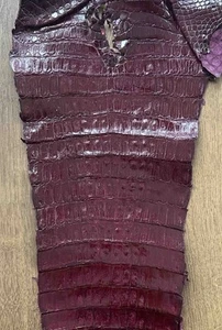 Alligator leather Cayman Skin Italian genuine crocodile leather, exotic leather - Picture 1 of 12