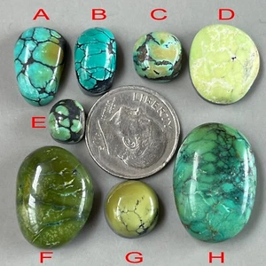 Stabilized Green Bamboo Mountain Hubei Turquoise Cabochon/Gemstone cab Y109