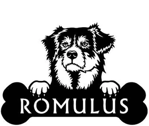 Australian Shepherd Head and Dog Bone Sign with Custom Name or Numbers - Picture 1 of 5