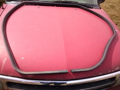 Dodge Durango 1998-2002 lado del conductor Rr sello de puerta/tira climática usada pieza OEM Foto 1 de 2