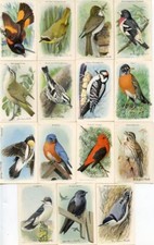 Birds Useful Birds of America 9th 15 Vintage Card Set Church & Dwight J-9 (5)