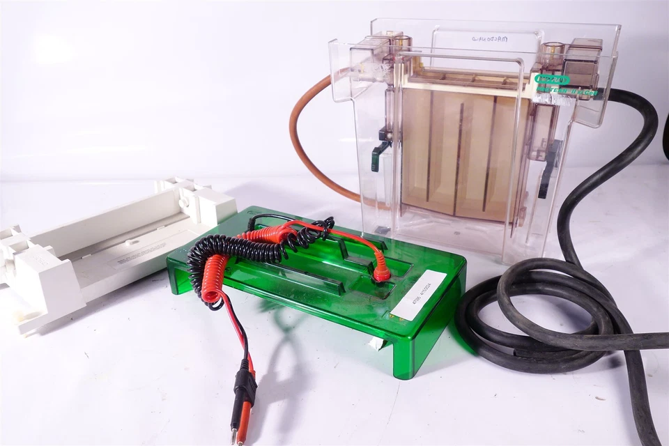 BIO-RAD PROTEAN II xi TRANS-BLOT CELL + Acessórios  - Imagem 1 de 4