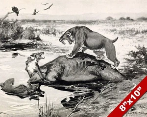 SÄBELZAHN KATZE SIMILODON & CANIS DIRUS DIRE WOLF GEMÄLDE KUNST ECHT LEINWANDDRUCK - Bild 1 von 5