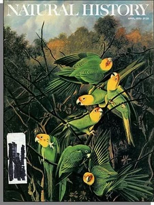 Natural History - 1978, April - Santorini Volcanoes, House Mice, Semana Seville - Imagen 1 de 1